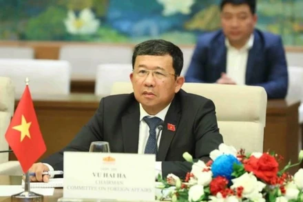 Chủ nhiệm Ủy ban Đối ngoại Quốc hội Vũ Hải Hà. (Ảnh: TTXVN)
