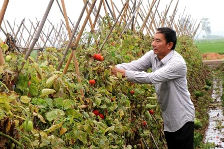 Quỹ hỗ trợ nông dân đã giúp gia đình ông Nguyễn Văn Khang, xã Việt Đoàn, huyện Tiên Du, tỉnh Bắc Ninh có vốn để sản xuất, phát triển kinh tế.