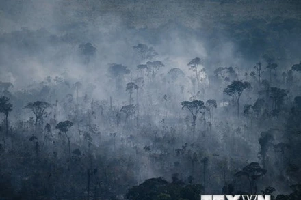 Khói bốc lên từ đám cháy rừng Amazon ở Apui, bang Amazonas, Brazil, ngày 27/7/2022. (Ảnh: AFP/TTXVN)