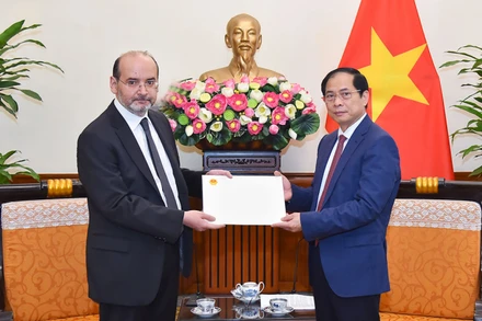 Bộ trưởng Ngoại giao Bùi Thanh Sơn trao Thư thăm hỏi của Thủ tướng Chính phủ Phạm Minh Chính gửi Tổng thống Thổ Nhĩ Kỳ Recep Tayyip Erdogan. (Ảnh: Báo Thế giới và Việt Nam) 