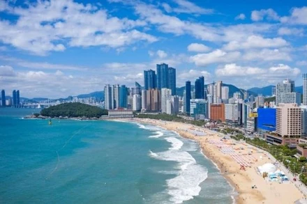 Bãi biển Haeundae, một trong những địa điểm hấp dẫn du khách khi đến Busan. (Ảnh: VisitBusan)