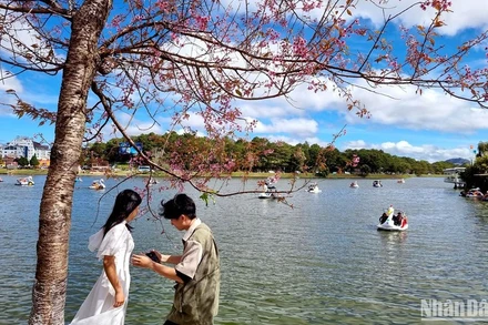 Khung cảnh lãng mạn của Đà Lạt luôn hấp dẫn du khách. (Ảnh: MAI VĂN BẢO)