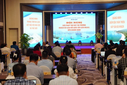 Toàn cảnh hội nghị. (Ảnh: Ban tổ chức)