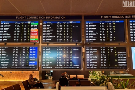 WTTC dự báo du lịch và lữ hành toàn cầu đang phục hồi gần mức trước đại dịch. (Ảnh: N.T)