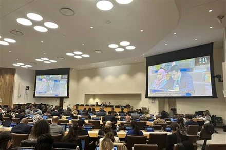 Toàn cảnh Phiên họp của Ủy ban về Các Vấn đề Xã hội, Nhân đạo và Văn hóa của Đại Hội đồng Liên hợp quốc Khóa 78. (Ảnh: TTXVN)