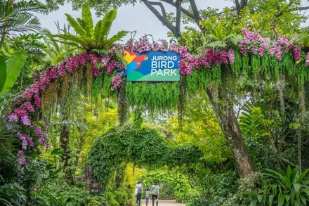 Vườn chim Jurong sẽ đóng cửa vào đầu năm 2023. (Ảnh: CNA)
