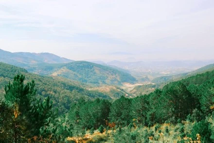 Đà Lạt là điểm đến thiên nhiên được du khách trên nền tảng Agoda yêu thích. 