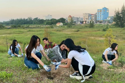 Các thí sinh Hoa hậu Biển đảo Việt Nam năm 2022 đã cùng cán bộ, chiến sĩ và nhân dân huyện đảo Cô Tô dọn vệ sinh môi trường tại khu vực bãi biển.
