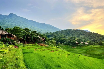 Những ngày chớm thu tháng 8, màu lúa xanh tươi ngập tràn khắp các thung lũng và triền đồi ở khu bảo tồn thiên nhiên Pù Luông.