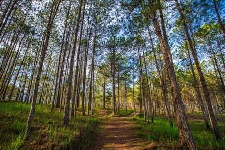 Báo Singapore gợi ý 3 địa điểm ở Việt Nam để “trốn nóng” mùa hè này