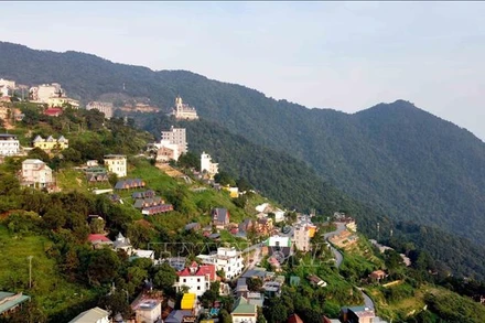 Một góc Tam Đảo. (Ảnh: TTXVN)