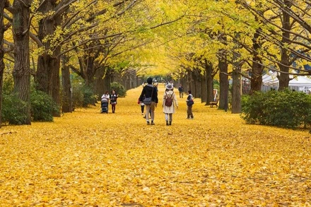Nhật Bản là một trong những điểm đến yêu thích của du khách Việt Nam. (Ảnh: Saigontourist)