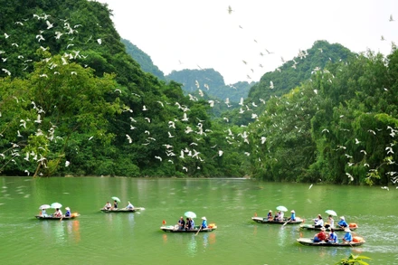 Ảnh minh họa: Du khách tham quan Khu bảo tồn vườn chim Thung Nham (Ảnh: @thungnhamecotourismzone)