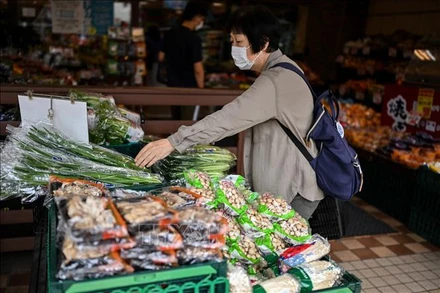 Người dân mua sắm tại một siêu thị ở Tokyo (Ảnh: TTXVN)