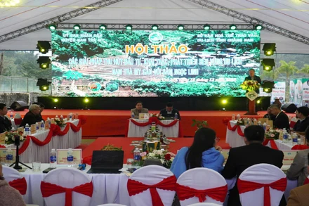 Toàn cảnh Hội thảo các giải pháp thu hút đầu tư, khai thác, phát triển bền vững du lịch Nam Trà My gắn với Sâm Ngọc Linh.