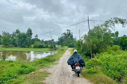 Lưới điện ở vùng nông thôn tỉnh Quảng Nam luôn tiềm ẩn những nguy cơ mất an toàn.