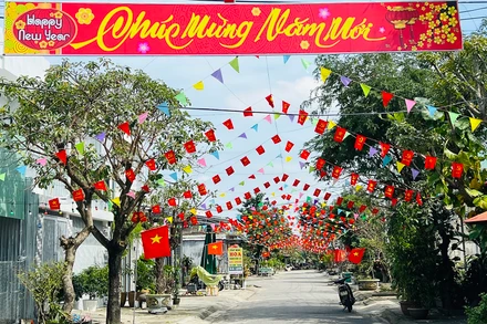 Tuyến đường Lê Trí Viễn (phường Hòa Hương) rực rỡ cờ hoa đón Tết.