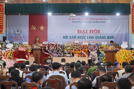 Quang cảnh Đại hội Hội sâm Ngọc Linh Quảng Nam lần thứ nhất, nhiệm kỳ 2024-2029.