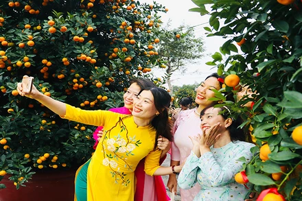 Ngày Hội cây quất cảnh Cẩm Hà năm 2025 với rất nhiều hoạt động thú vị, hấp dẫn để nhân dân và du khách tham gia, trải nghiệm.