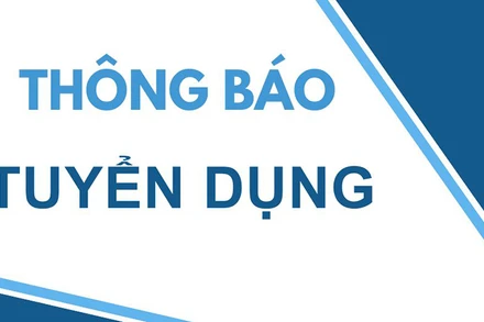 Tuyển dụng viên chức làm việc tại các đơn vị trực thuộc Bảo hiểm xã hội Thành phố Hồ Chí Minh năm 2023
