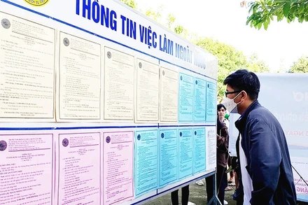 Lao động tìm hiểu thông tin đi làm việc tại nước ngoài. (Ảnh: nhandan.vn)