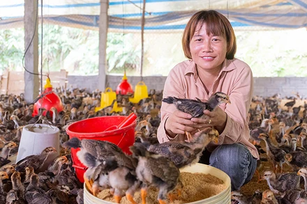 Phụ nữ tham gia Mô hình tiết kiệm tín dụng thôn bản tự quản (VSLA) tại Yên Bái giúp giảm nghèo. (Ảnh: CARE quốc tế tại Việt Nam)