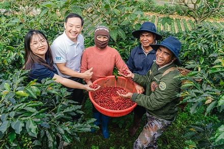 Cuộc thi nhằm tìm kiếm những giải pháp sáng tạo, góp phần nâng cao khả năng chống chịu và thích ứng của ngành cà phê Việt Nam.
