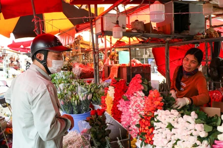 [Ảnh] Chợ hoa Quảng An ngập tràn sắc màu dịp 8/3