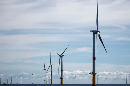 Trang trại điện gió ngoài khơi ở Pháp. (Ảnh: REUTERS) 