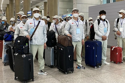 Lao động Việt Nam đi làm việc ở nước ngoài theo hợp đồng. (Ảnh: Dolab)