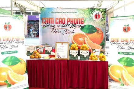 Cam Cao Phong. (Ảnh minh họa: nhandan.vn)