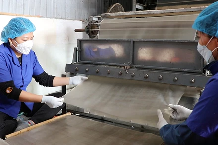 Lao động sản xuất miến dong tại Hợp tác xã Tài Hoan, huyện Na Rì, tỉnh Bắc Kạn (Ảnh: TUẤN SƠN)