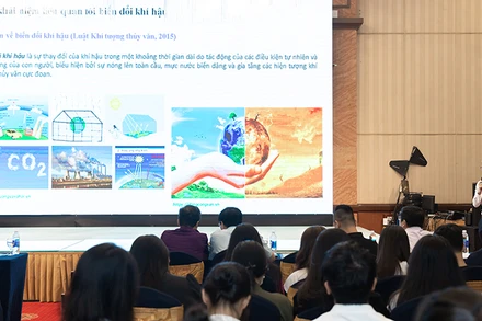 Diễn giả chia sẻ thông tin tại hội thảo. (Ảnh: Ban tổ chức)