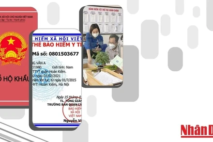 Đồ họa: Phương Nam.