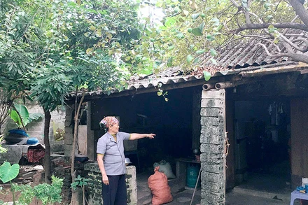 Nơi ở của bà Lê Thị Khương hiện nay.