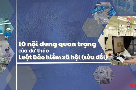 Đồ họa: Phương Nam.