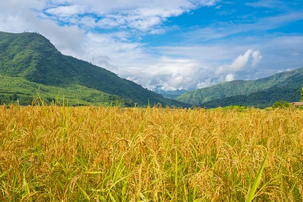 (Ảnh: nhandan.vn).