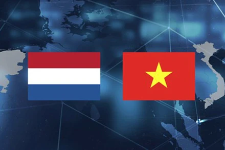 Ảnh minh họa: Internet.