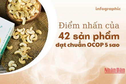 [Infographic] Điểm nhấn của 42 sản phẩm đạt chuẩn OCOP 5 sao
