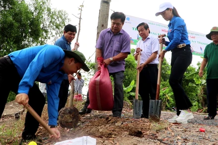 Cán bộ, đoàn viên, thanh niên triển khai mô hình hàng cây thanh niên.