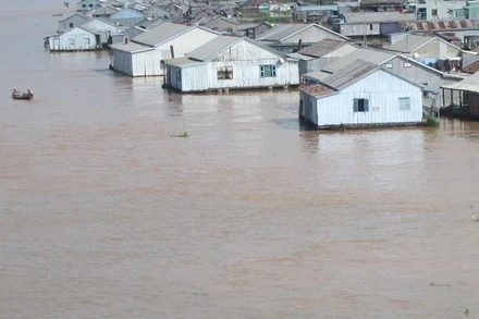 Một góc làng bè ngã ba sông Châu Đốc.