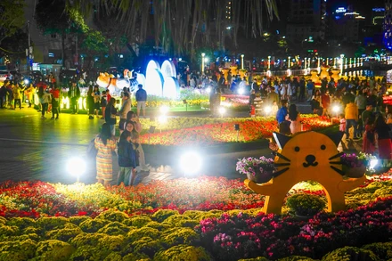 Người dân Đà Nẵng đi dạo đường hoa Xuân.