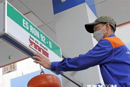 (Ảnh minh họa: TTXVN)