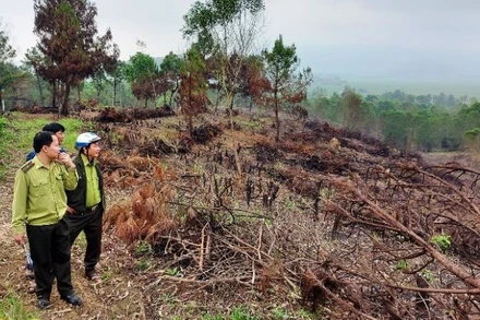 Lực lượng chức năng kiểm tra thực địa.
