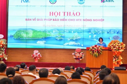 Chủ tịch Liên minh Hợp tác xã Việt Nam Cao Xuân Thu Vân phát biểu tại hội thảo.