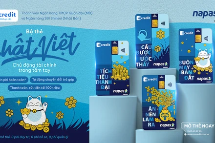 Thúc đẩy mở rộng thẻ tín dụng nội địa 