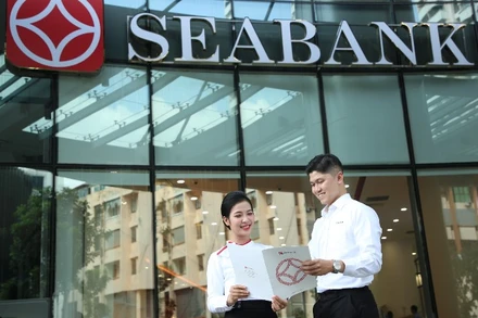 Việc không ngừng tăng vốn điều lệ là một phần quan trọng trong chiến lược phát triển của SeABank.