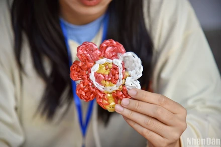 [Ảnh] Hành trình bảo vệ môi trường qua mô hình độc đáo