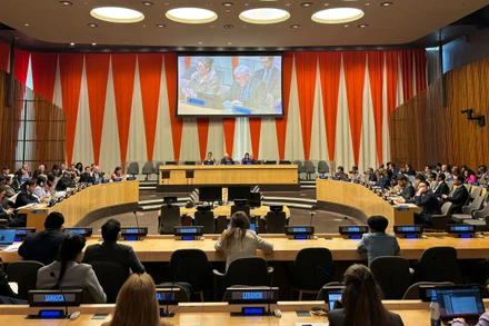 Việt Nam trúng cử Hội đồng Chấp hành Cơ quan Liên hợp quốc về Bình đẳng giới và Trao quyền cho Phụ nữ (UN Women) nhiệm kỳ 2025-2027