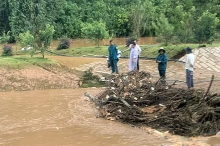 Lực lượng cứu hộ cứu nạn tìm kiếm các nạn nhân.